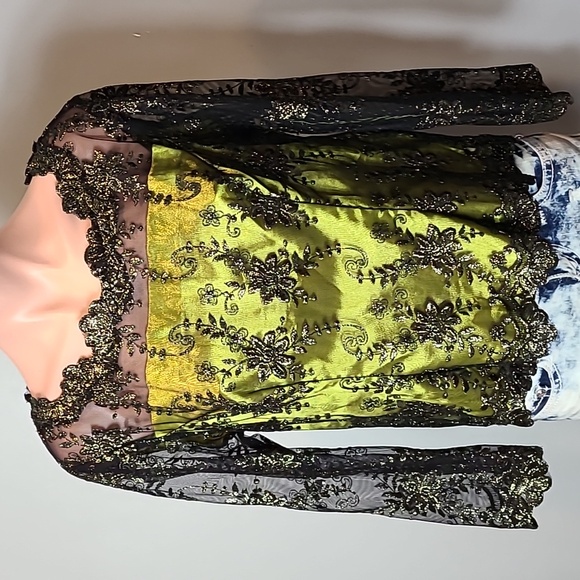 Gilded Age Gold Sheer 1920s Top Green Black Embroidered Lace Y2K Holiday Wedding - Picture 1 of 8